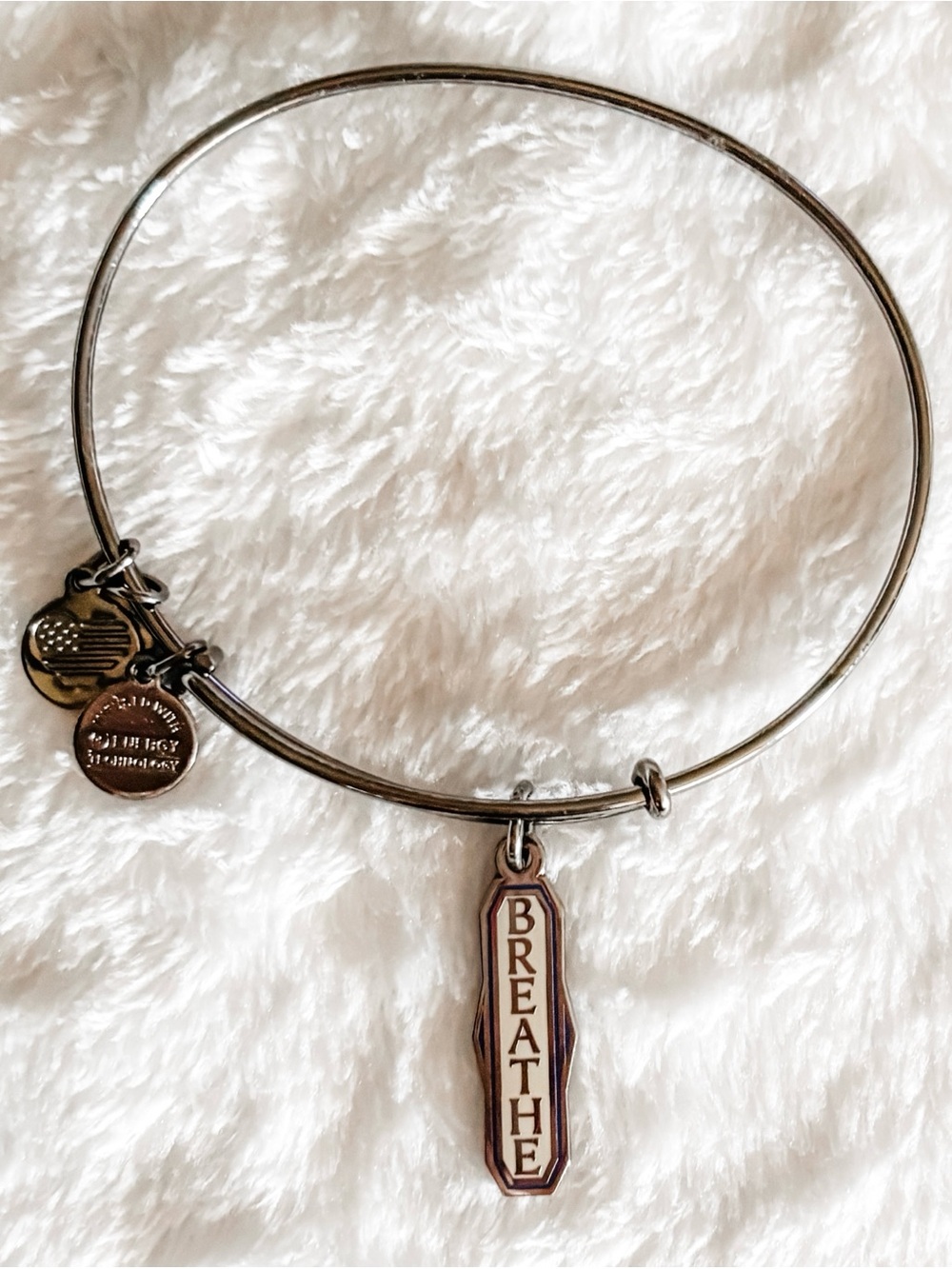 Alex and Ani 'BREATHE' Adjustable Charm Bracelet - Midnight Silver (Black)